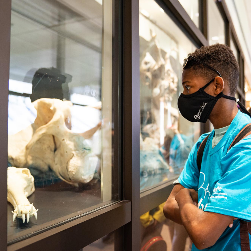 Record number of middle school students participate in health explorations camp